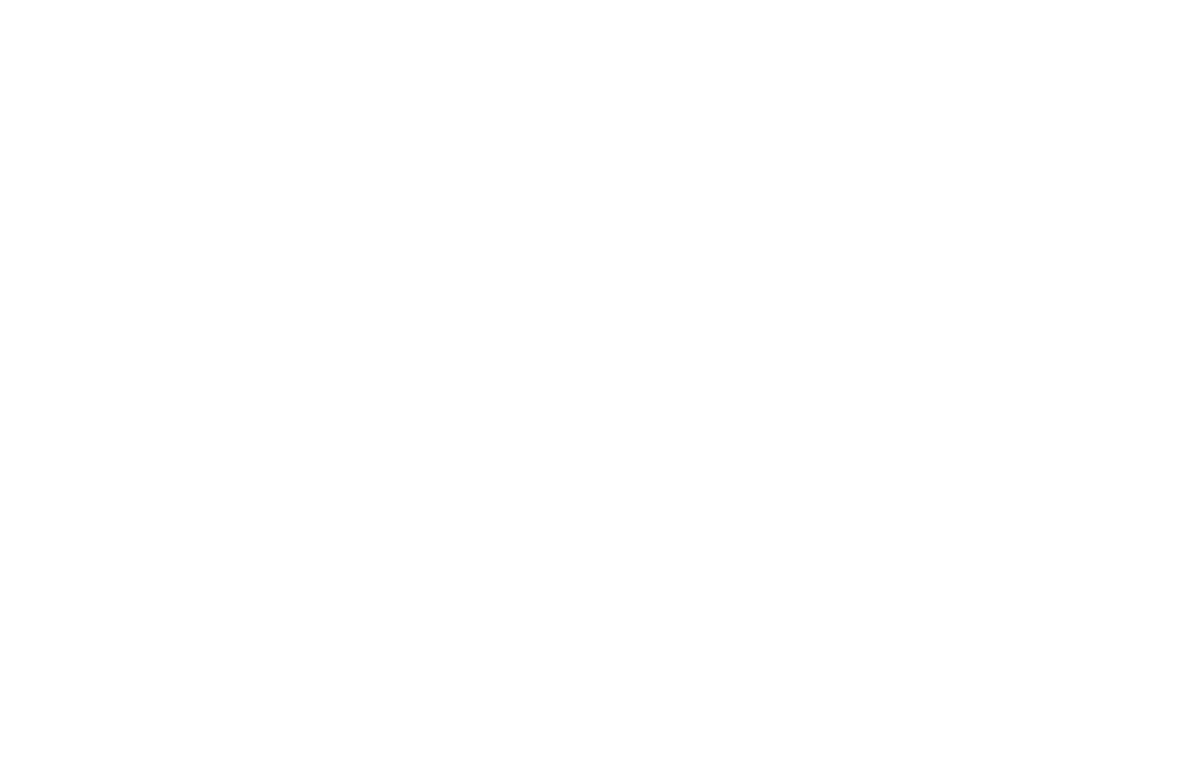 Flagship Global